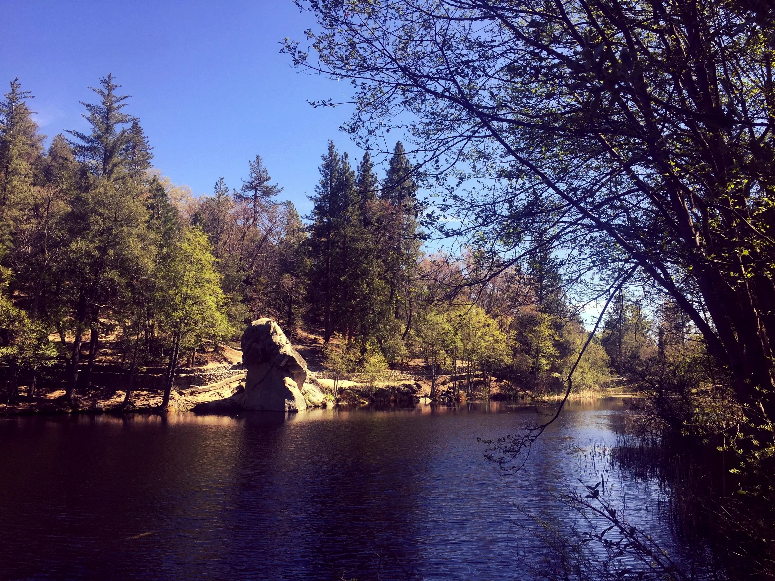 Correcting Father Martin