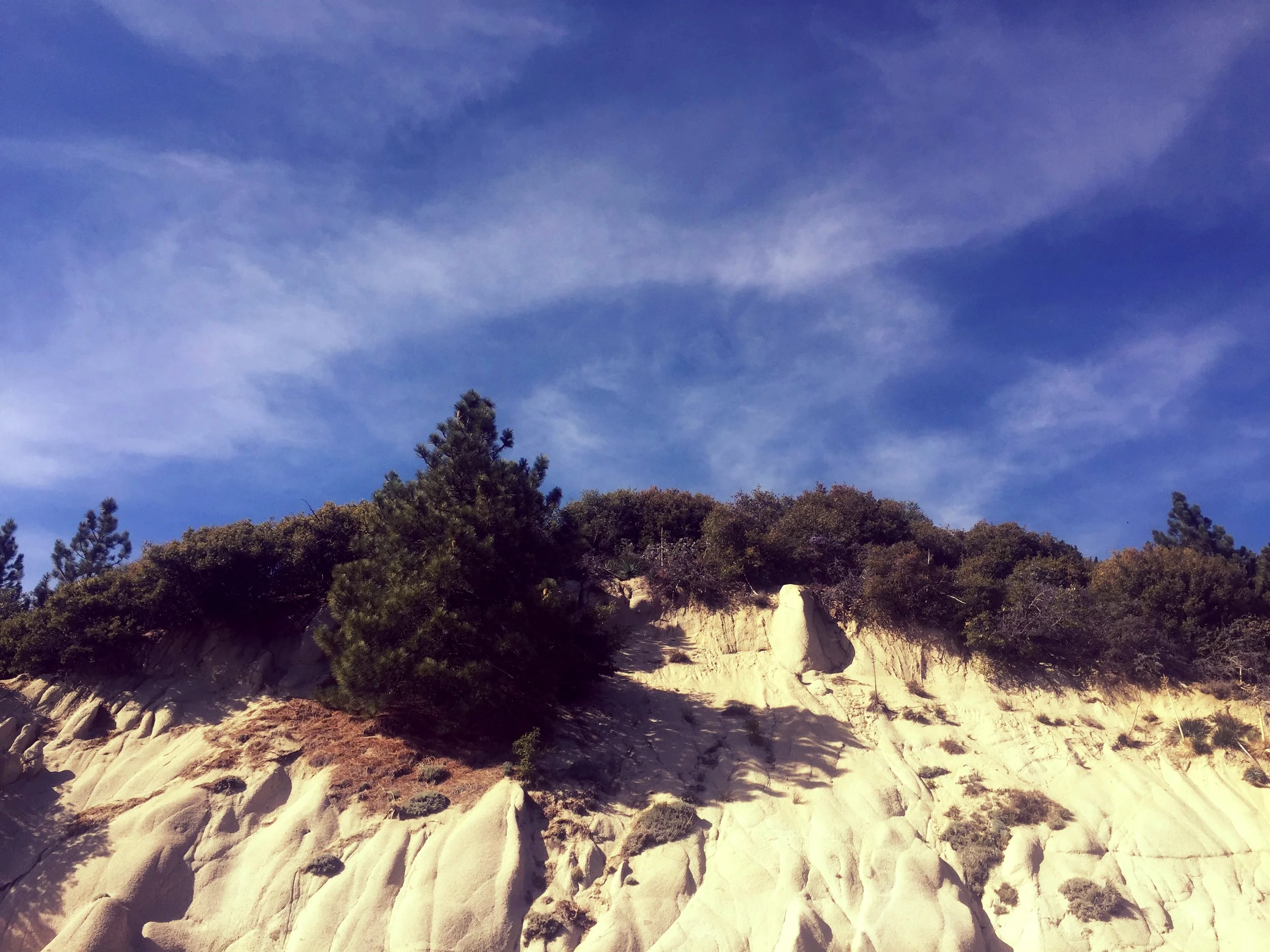 Sirens Going off in My Head: Why I Won’t Be Watching BoJack Horseman (Yet)