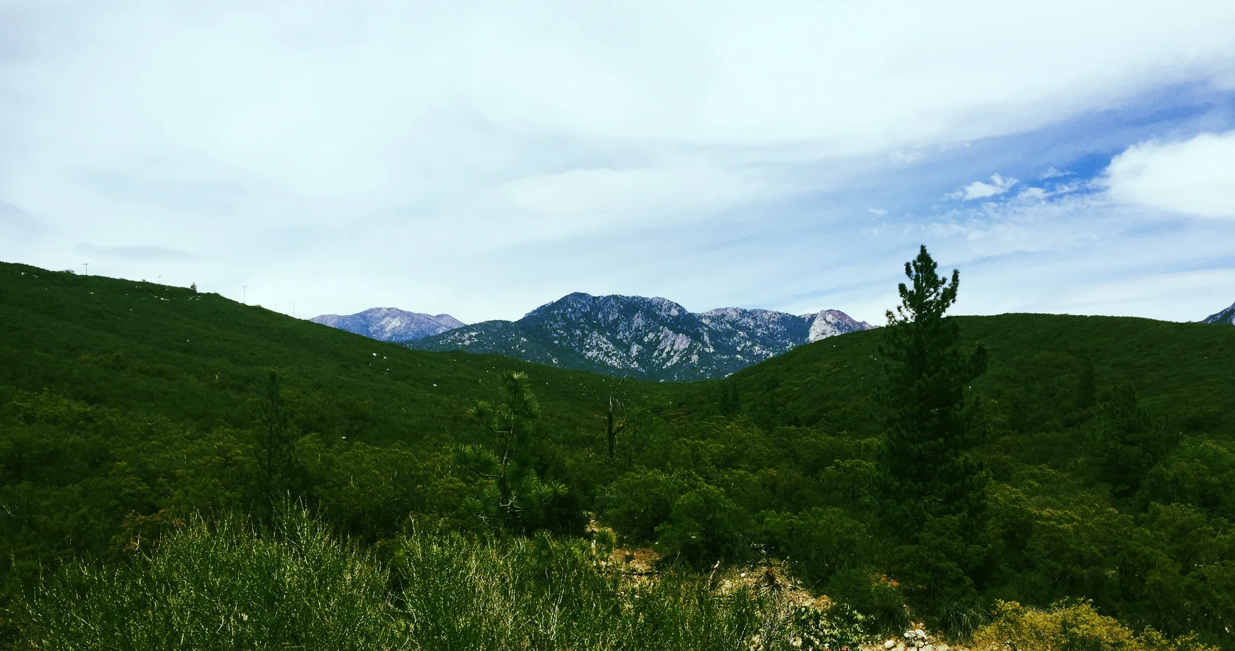 The Day I Learned I Wasn’t Broken: On Finding Asexuality and Reclaiming my Narrative