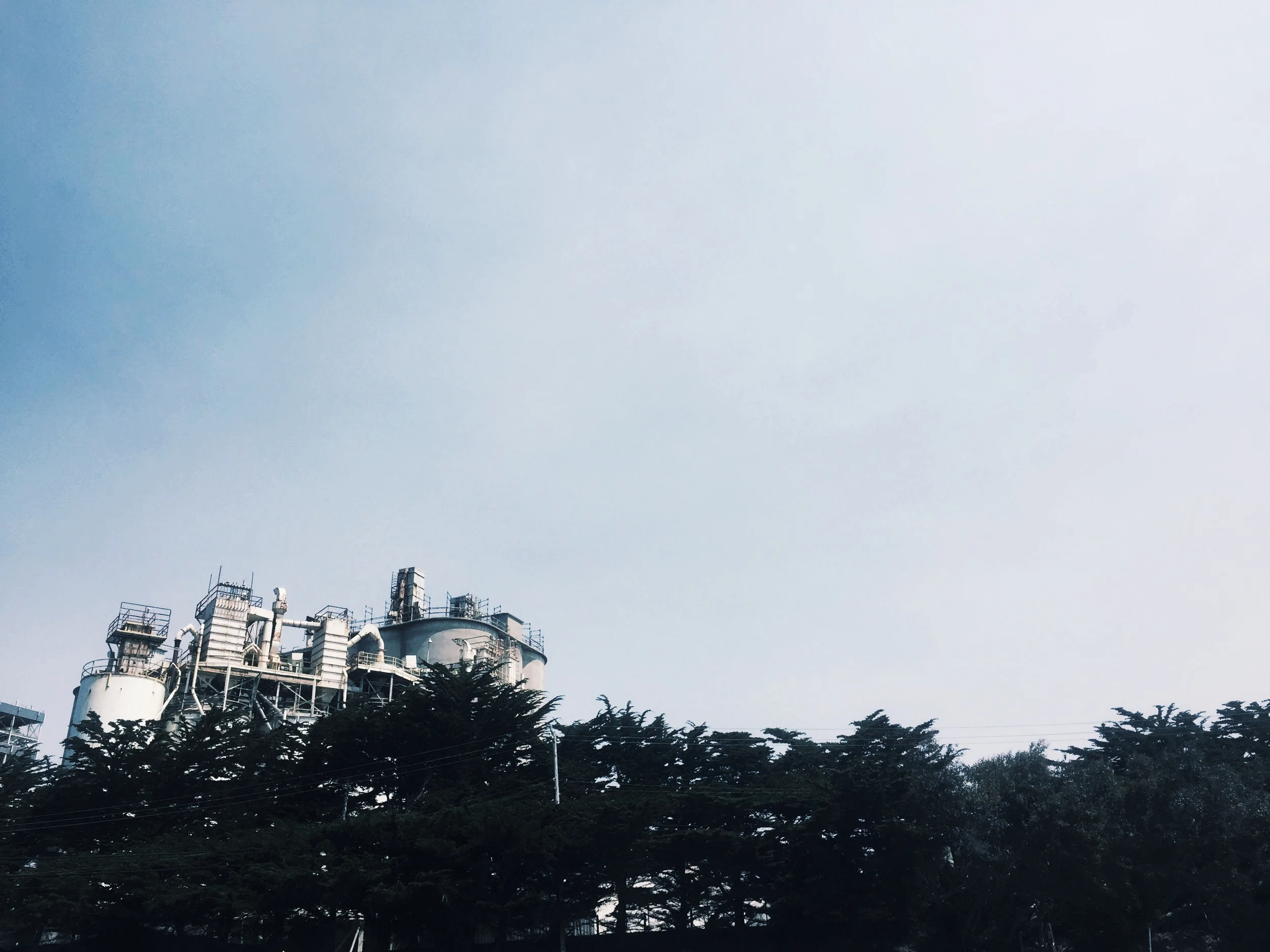 A Broken Machine: Coming of Age in my Asexual Body