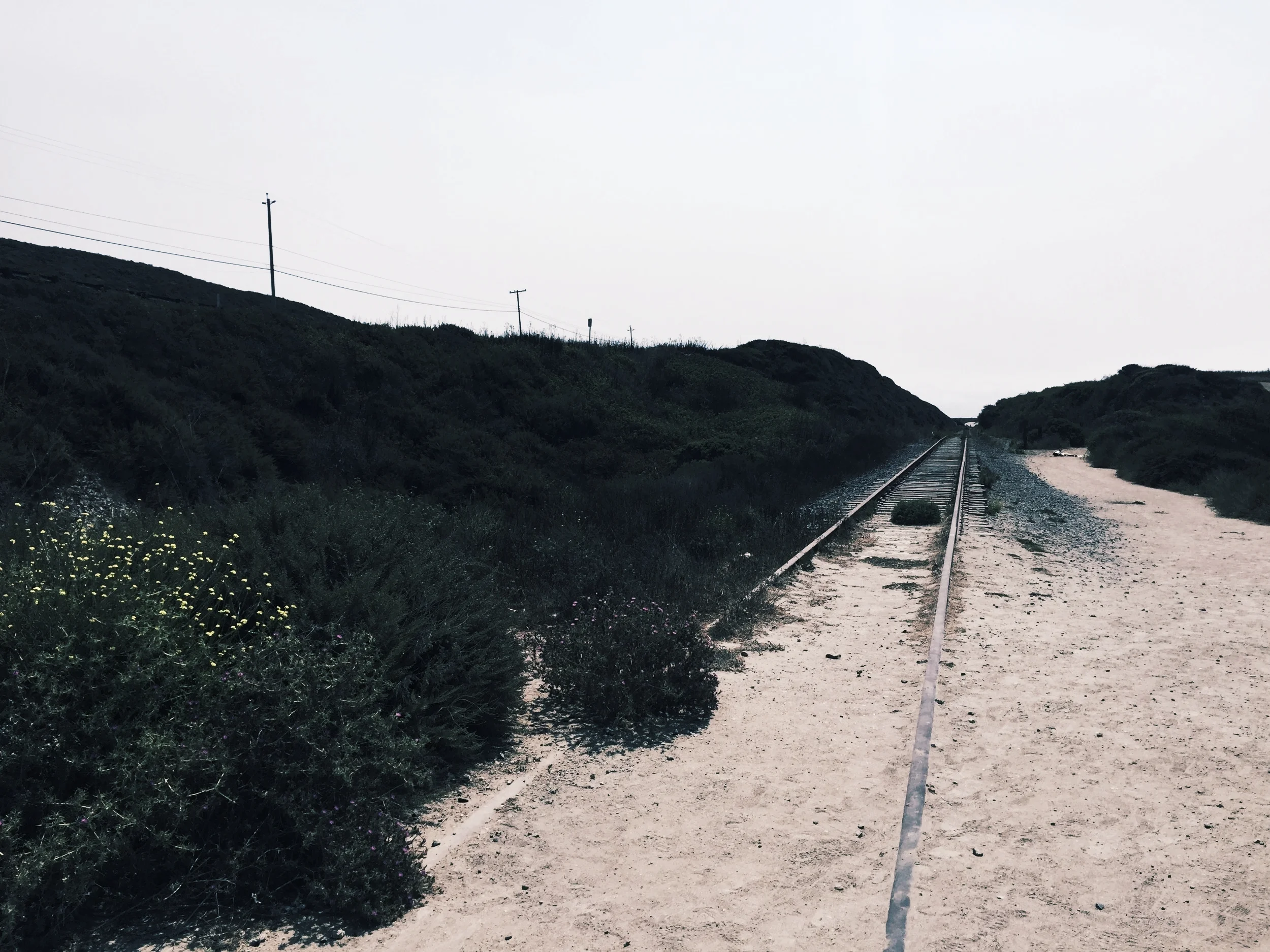 Daddy: An Open Letter to my Sexuality