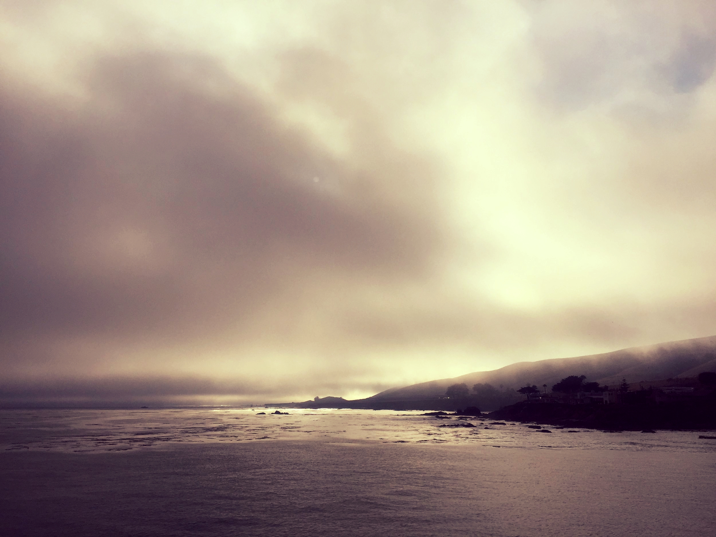Lifting the Shroud: A Novice’s Personal Perspective on Coming Out and Pride