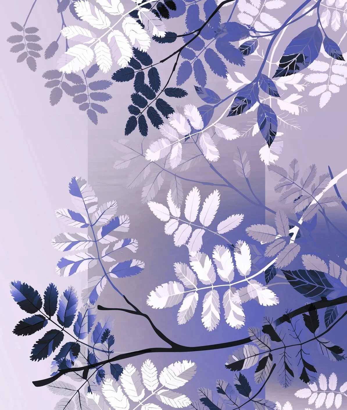 Vol 2 Issue 3 Asexuality And Pride Aze