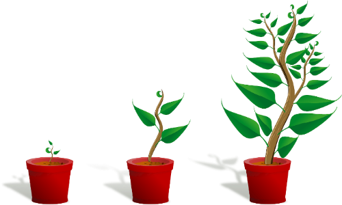 Starting a business is like growing a plant. You start with the basics, water it, tend to it, give it what it needs, and watch it grow.