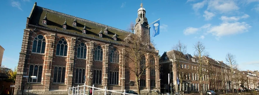 d885x325.jpg