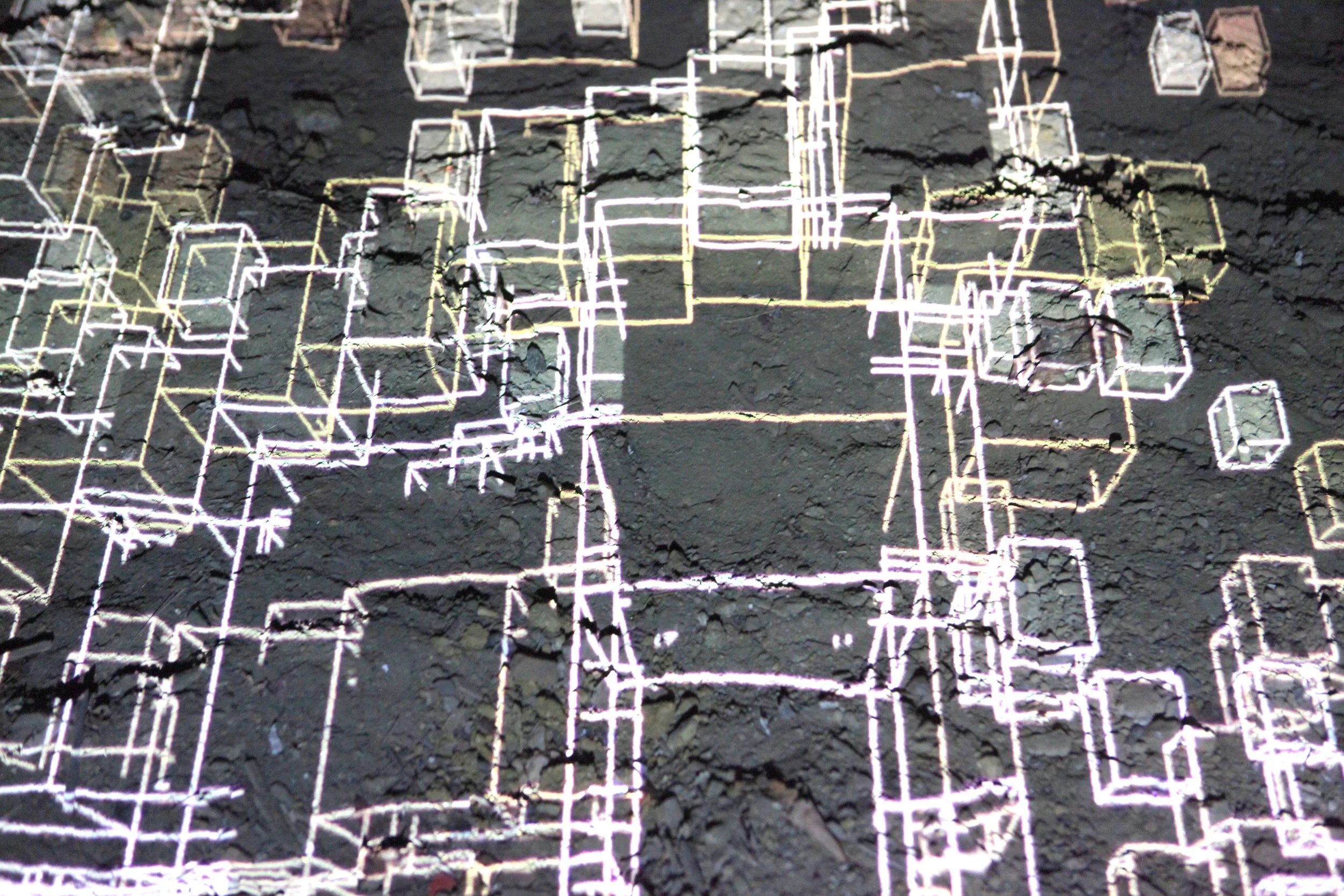 Champs de conscience 