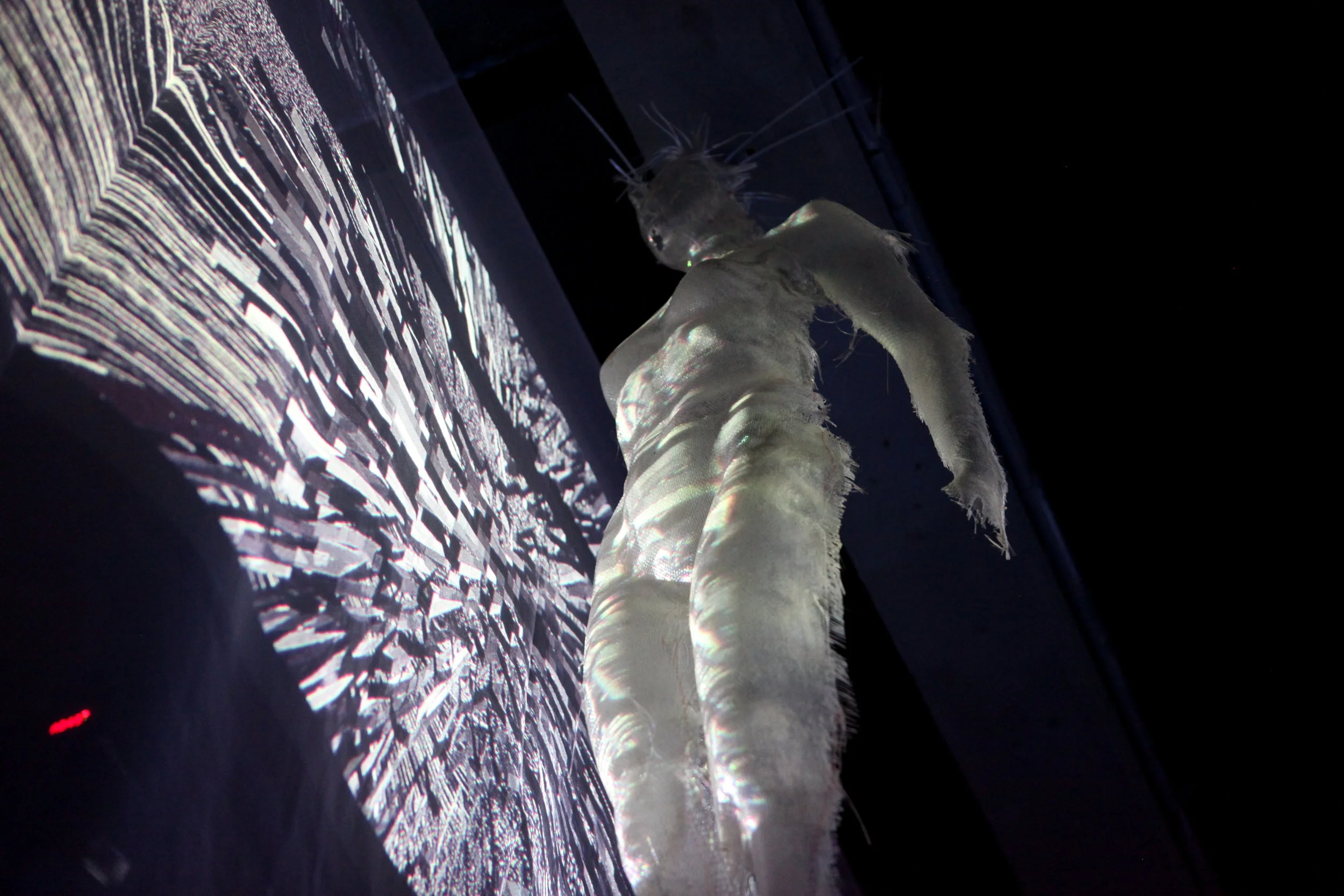 Le degré d'après © I C A R 