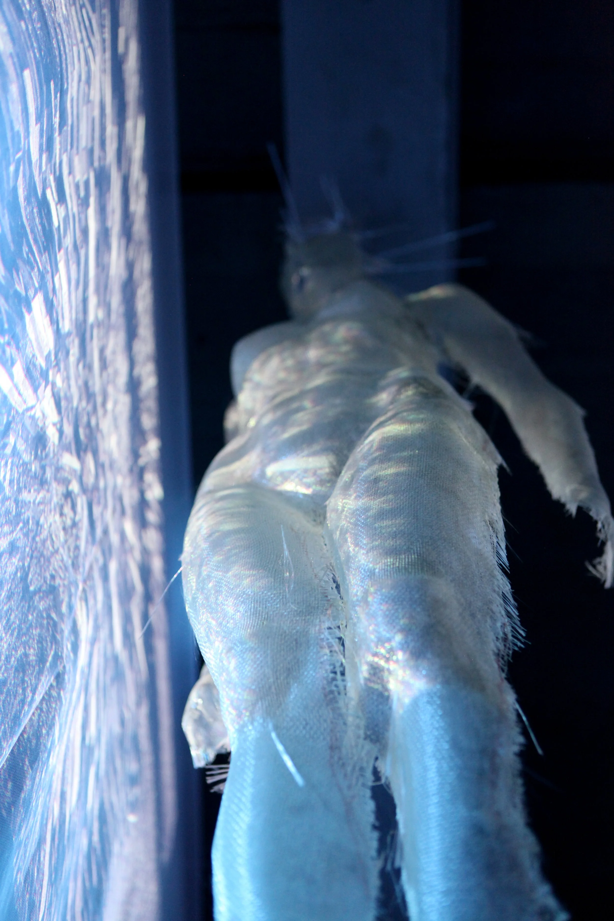 Le bonheur est là © I C A R 