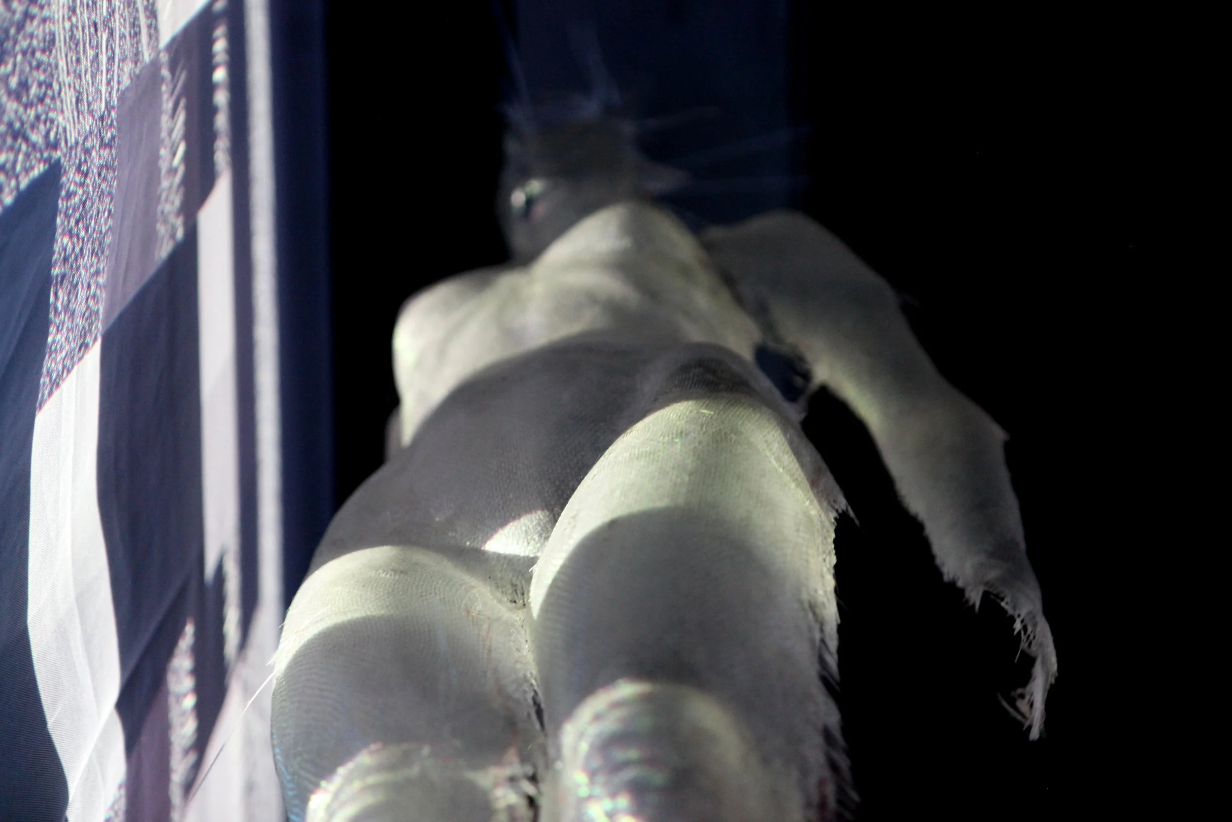 Les appuis de l'être © I C A R 