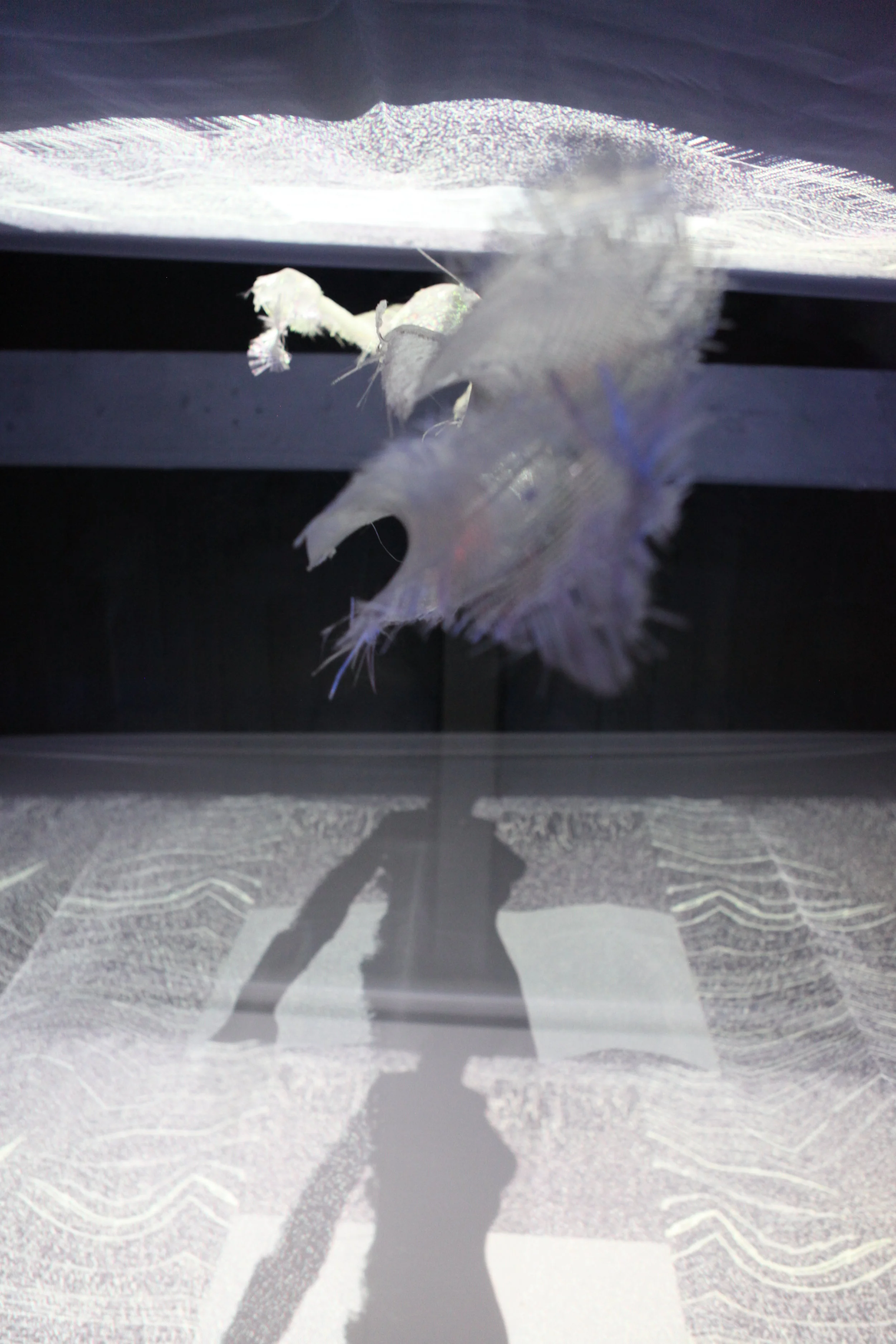 Bravo Bref © I C A R 