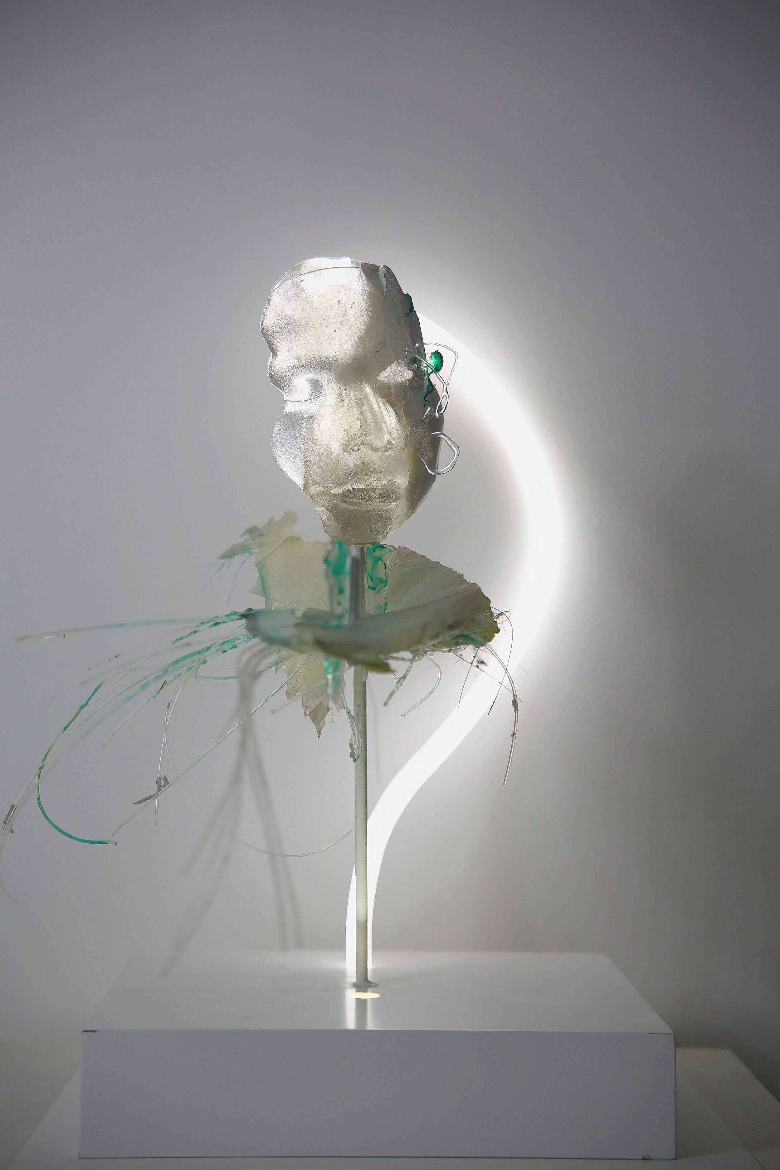 DEDICATION 2019 Paris