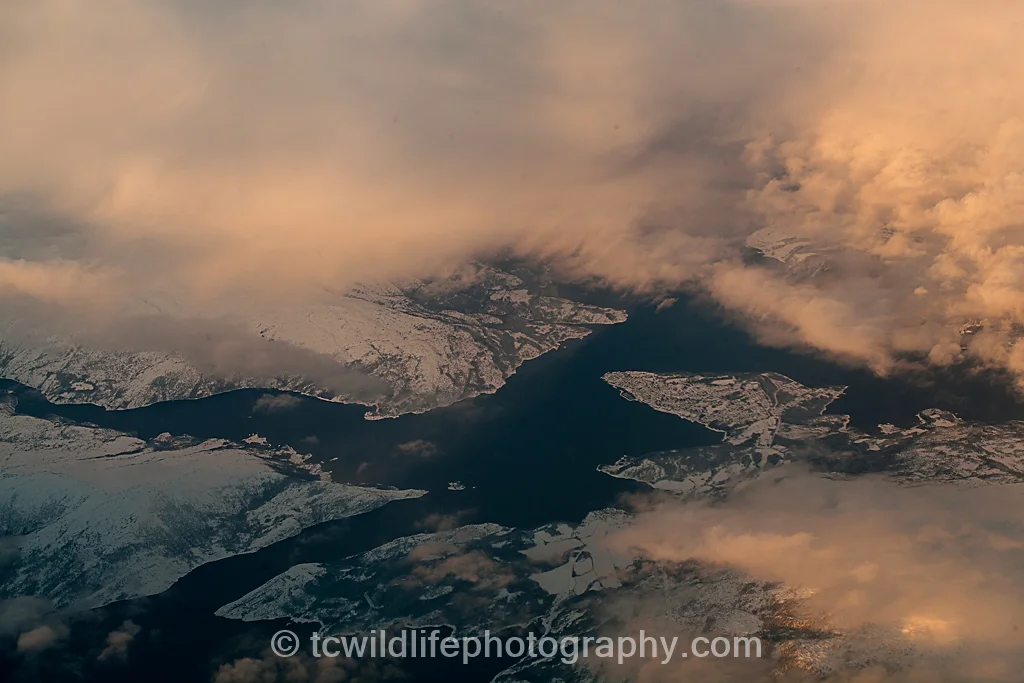 The view from the plane showed us the beautiful frozen fjord system of northern Norway. The arctic in winter is truly a sight to behold. It is here where an anual wildlife spectacle takes place. The fjords shelter huge schools of herring and it is these that attract giants.
