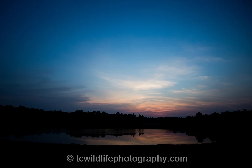Tadoba is famous for its beautiful lakes...