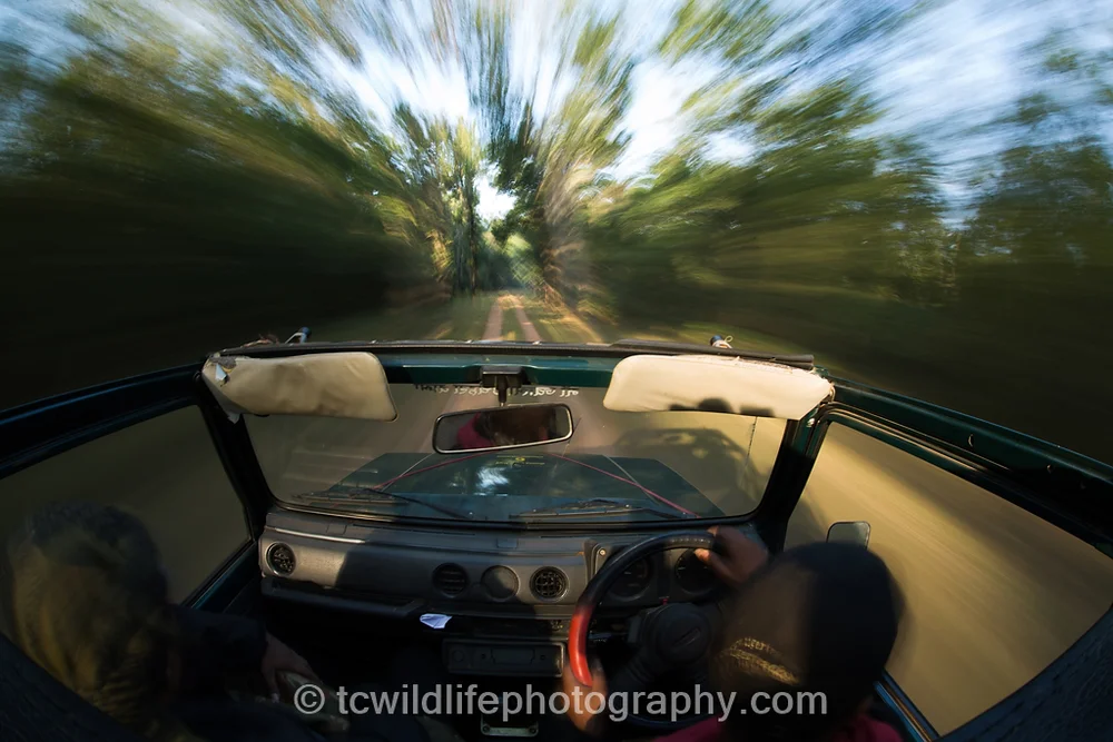 Rising up at 5am to comb through the forest was an enriching, and exciting experience. Even though our cars suspension took a battering through the uneven roads.