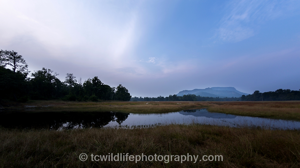 This is the beautiful Rajbhera meadow in Bandhavgarh. The area is home to the beautiful Rajbhera tigress who I hoped to glimpse in this beautiful landscape.
