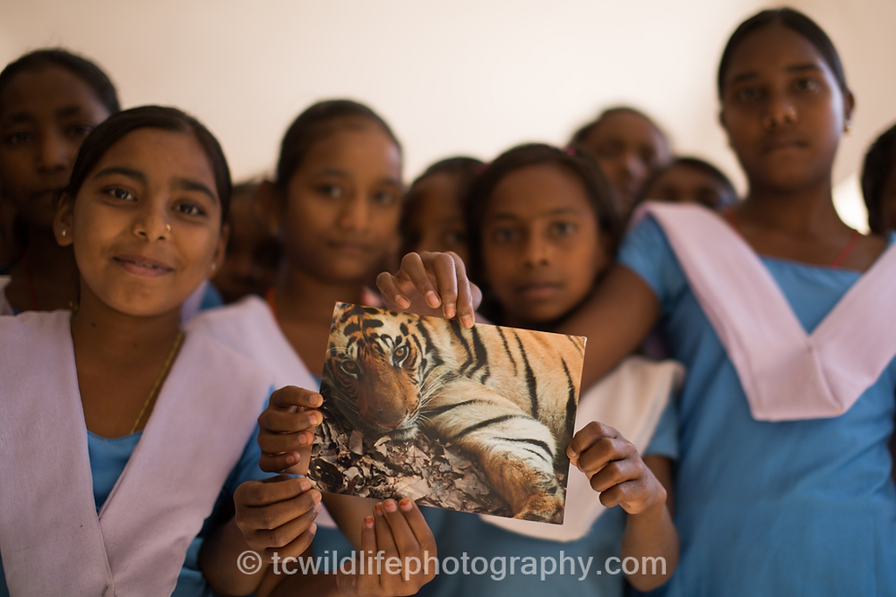 What I learned is that the tiger does have a future in India, even though times have been difficult to say the least.