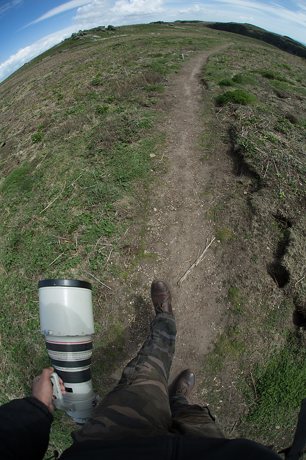Not the lightest of lenses, but manageable, especially after viewing the results on the back of the LCD screen.