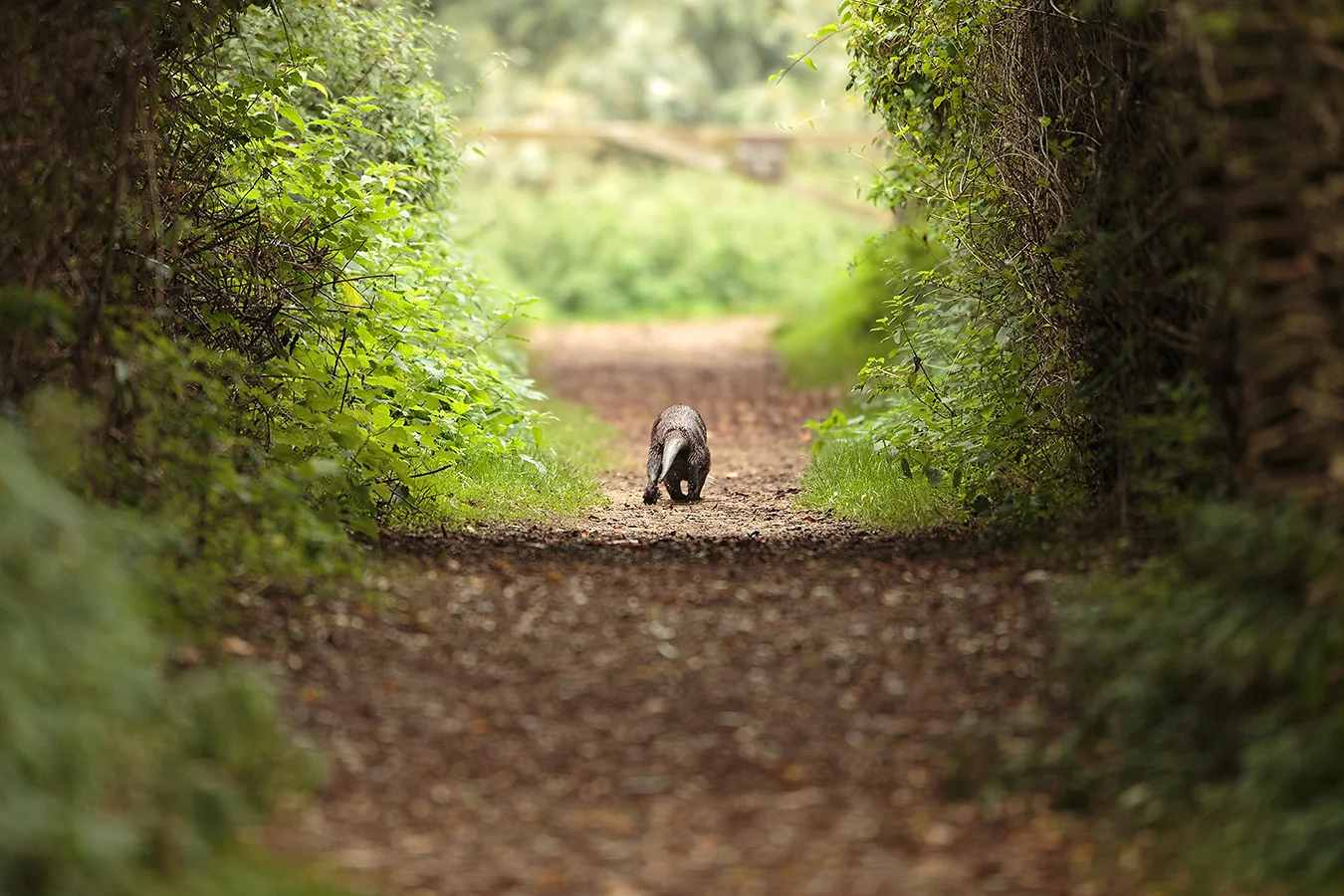 You never know who you may bump in to…. 1DX, 400mm f2.8