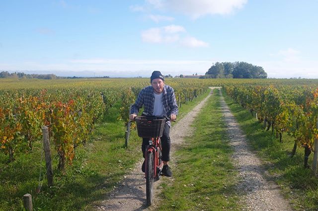 Vineyard hopping aka cycling whilst intoxicated round the beautiful M&eacute;doc wine region 🍷🍷🍷