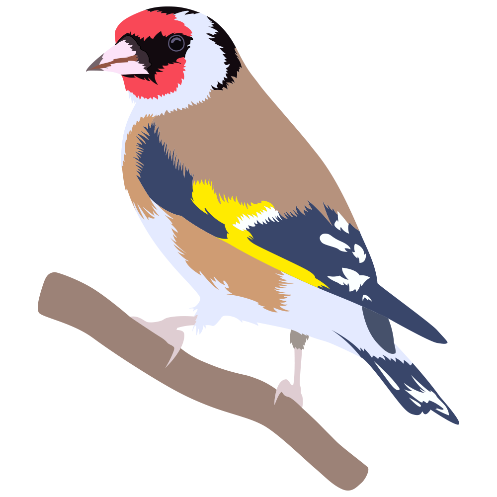 Goldfinch.png
