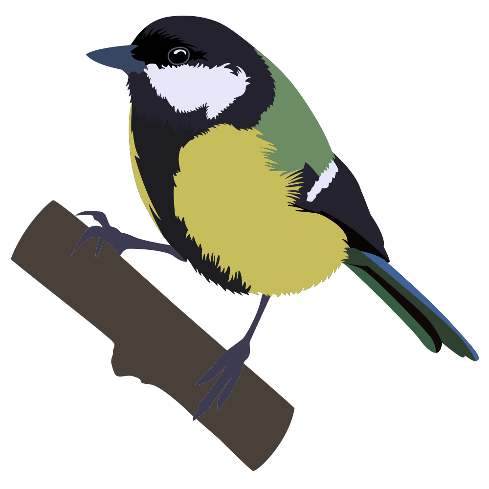 Great Tit.png