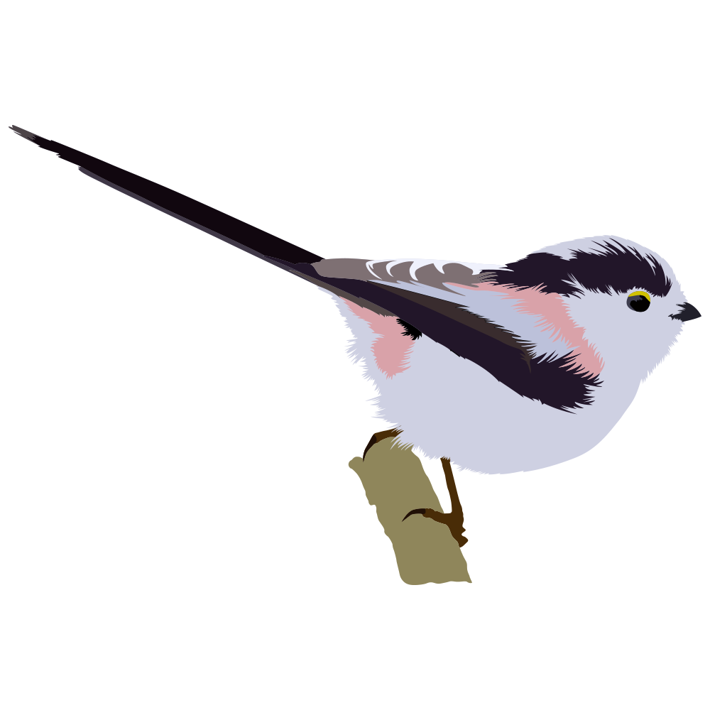 Long Tailed Tit.png