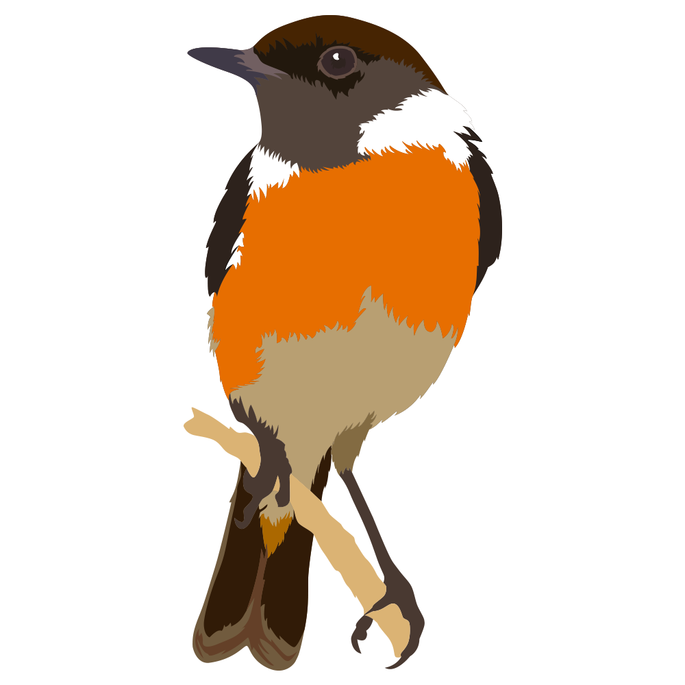Stonechat.png