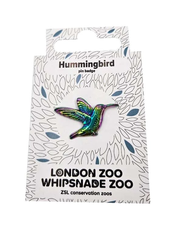 Hummingbird on card.jpg