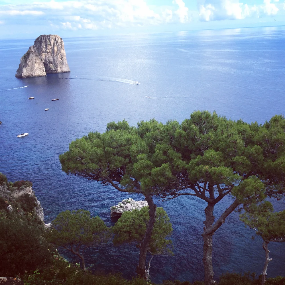 CAPRI