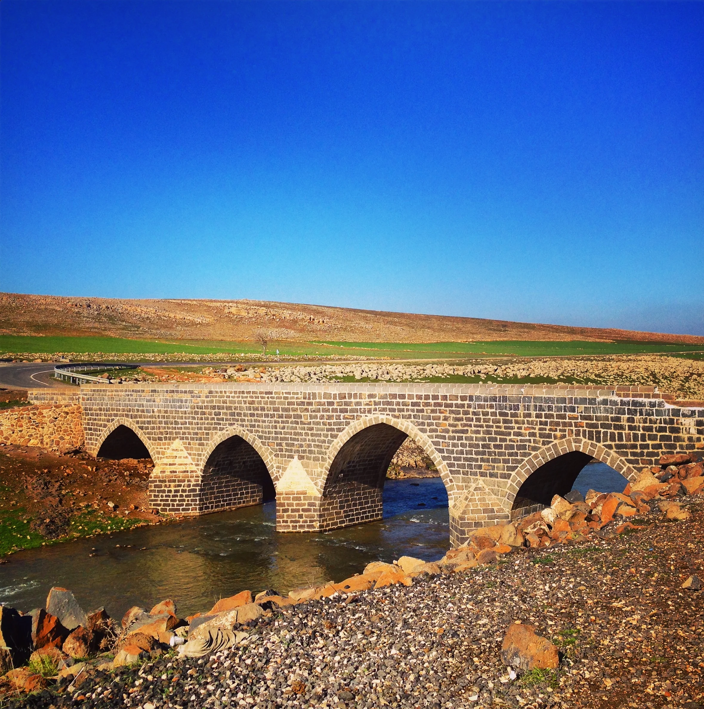 Notes: Finding My Roots