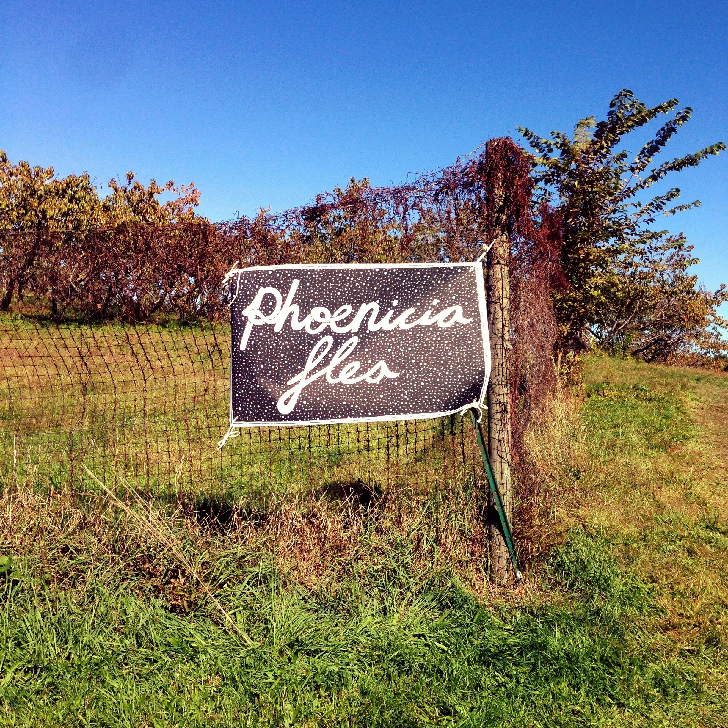 Finds: Flea and Feast Adventure Upstate