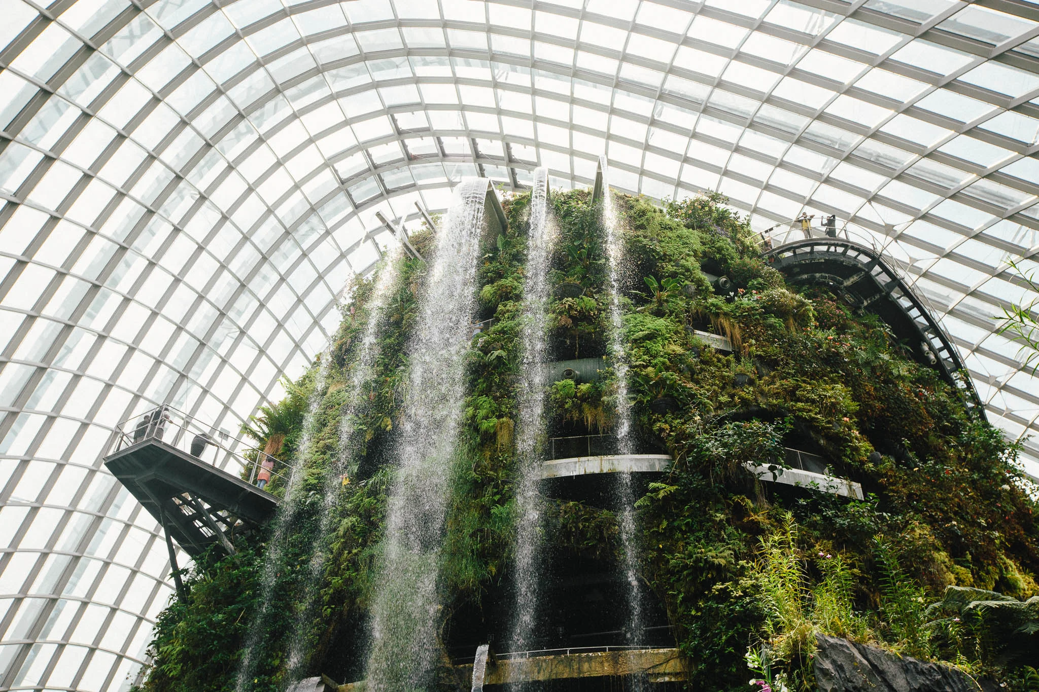 Architecture Photographer in Singapore - Gardens By The Bay