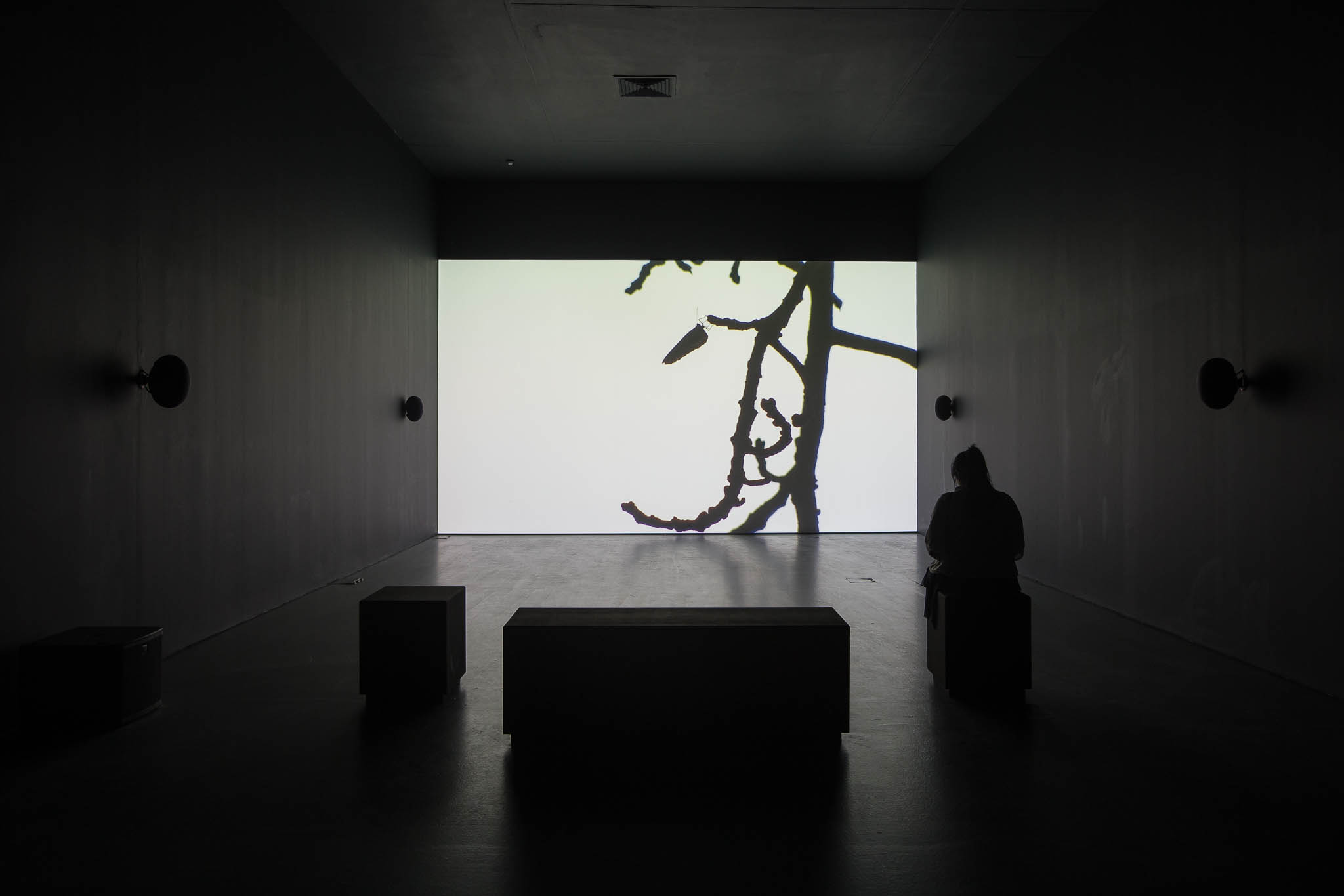 The Sovereign Forest – The NTU Centre for Contemporary Art Singapore