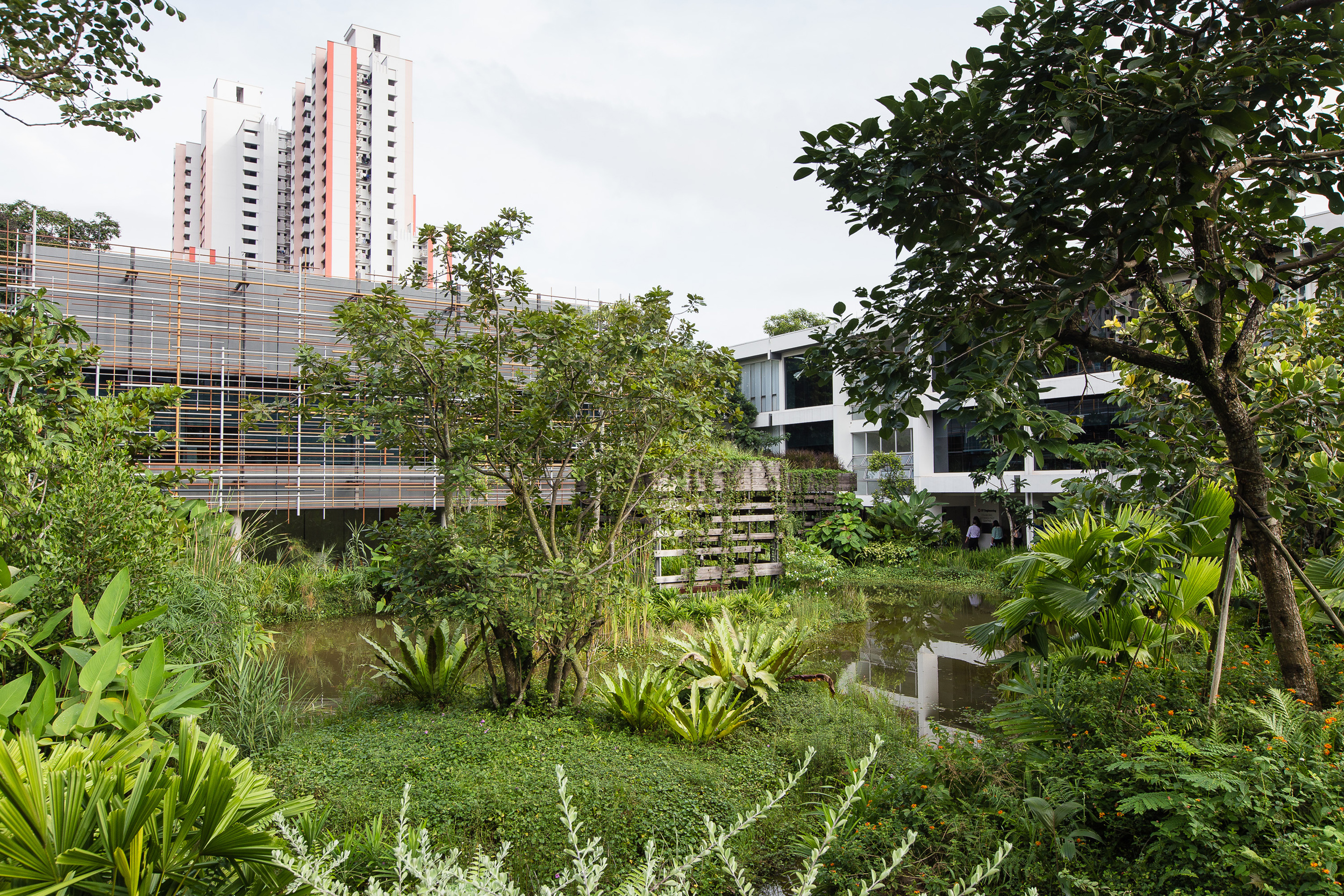Corporate Photographer in Singapore - President’s Design Award Winners