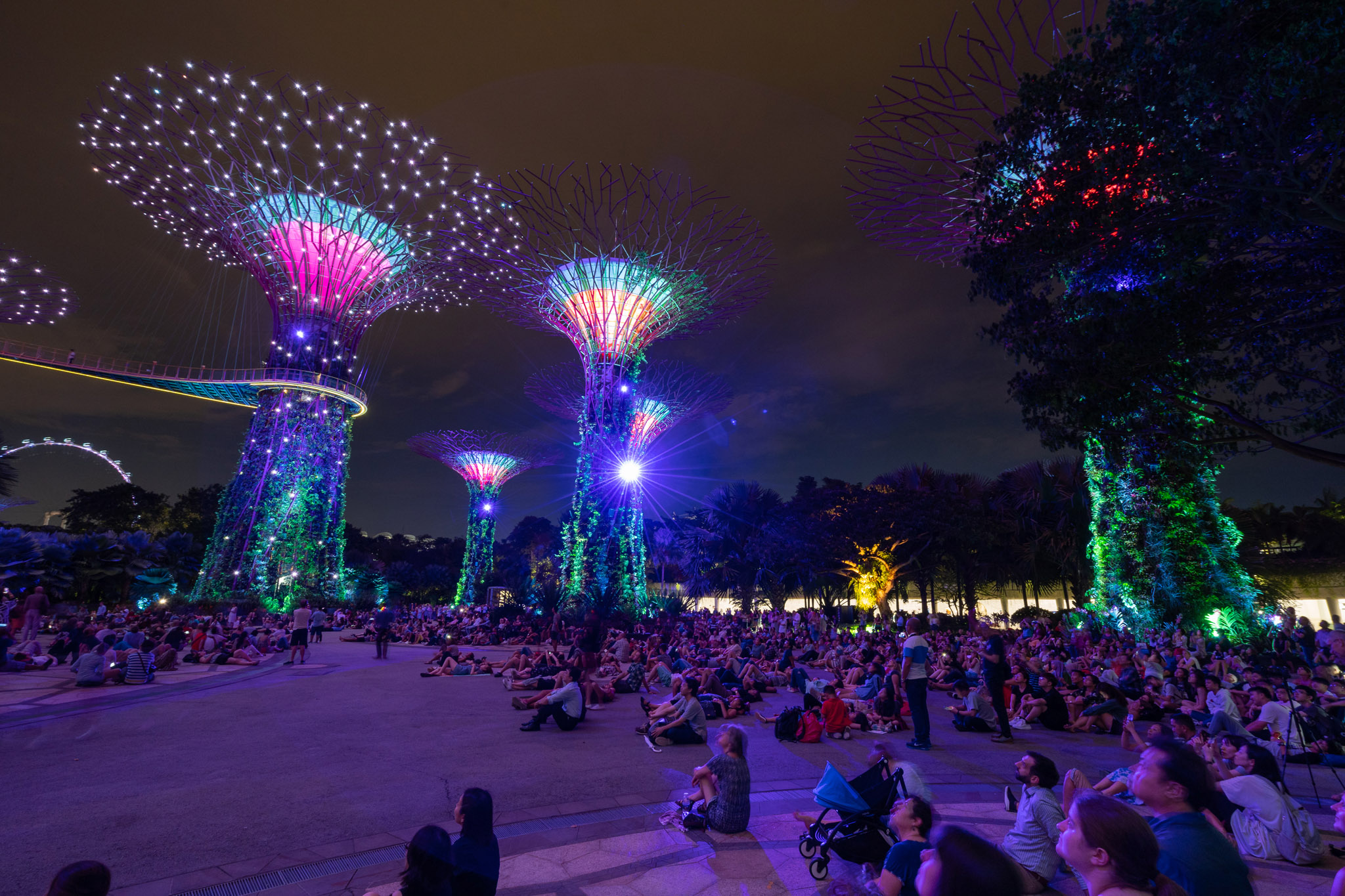 Corporate Photographer Singapore – Viator Tours