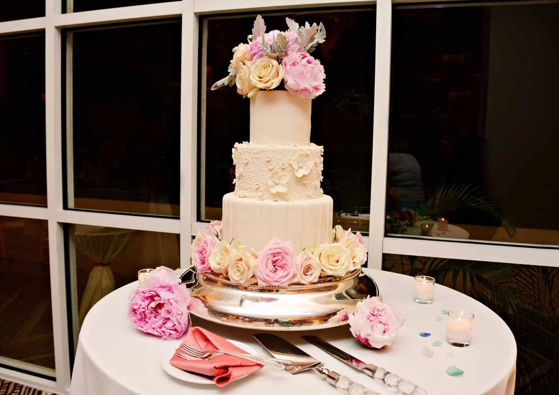 Reception Fun — McLaughlin Photo & Video