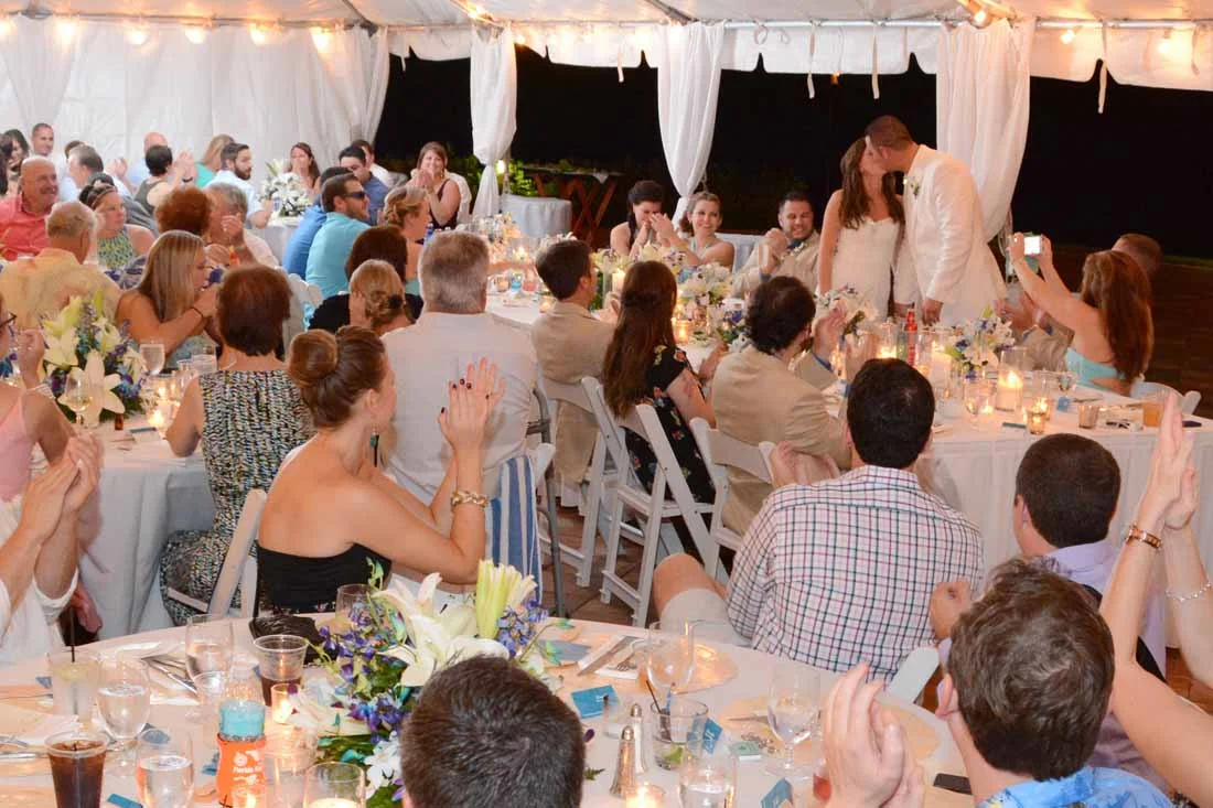 Reception Fun — McLaughlin Photo & Video