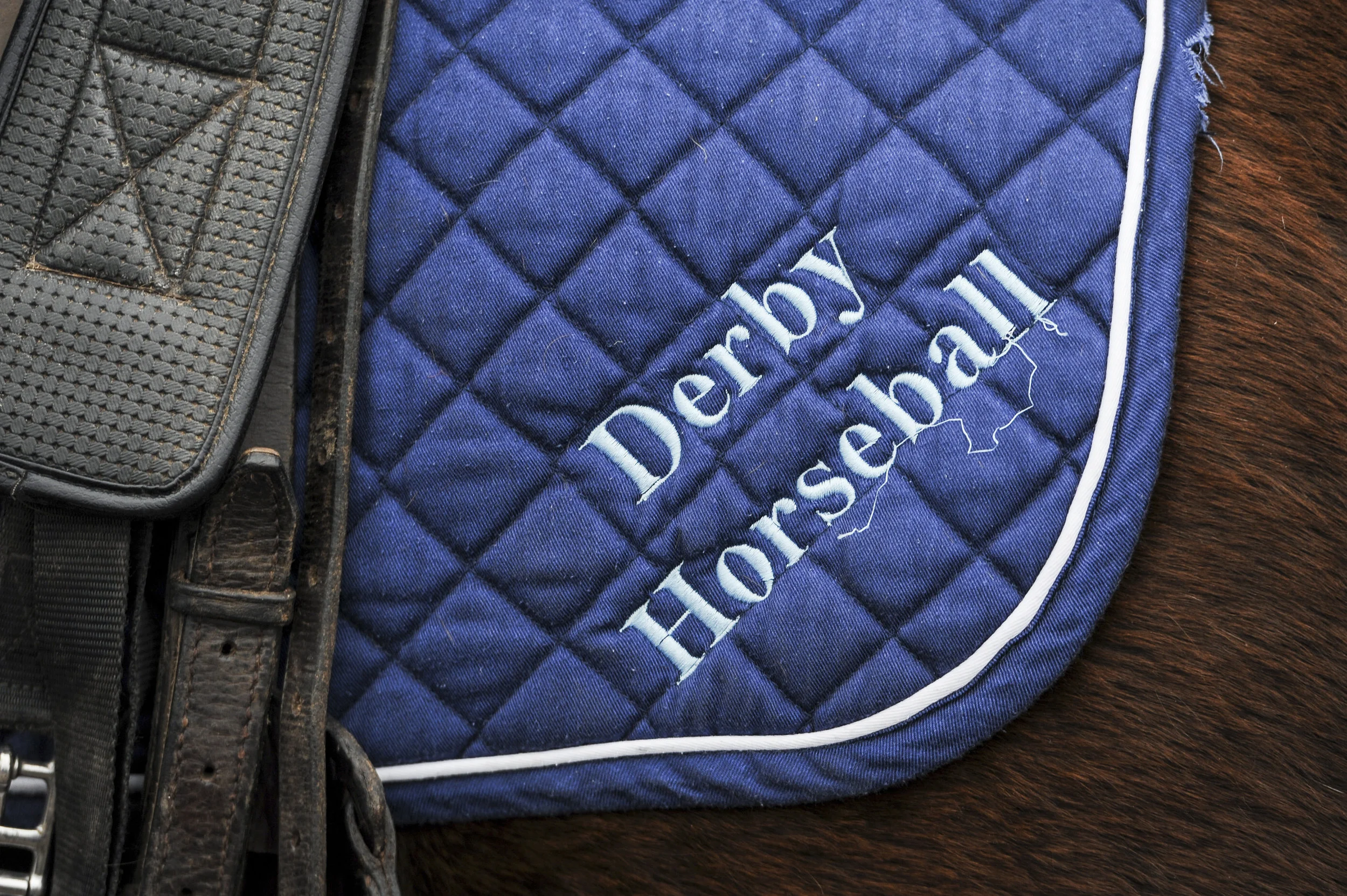 AJB HORSEBALL 21.jpg
