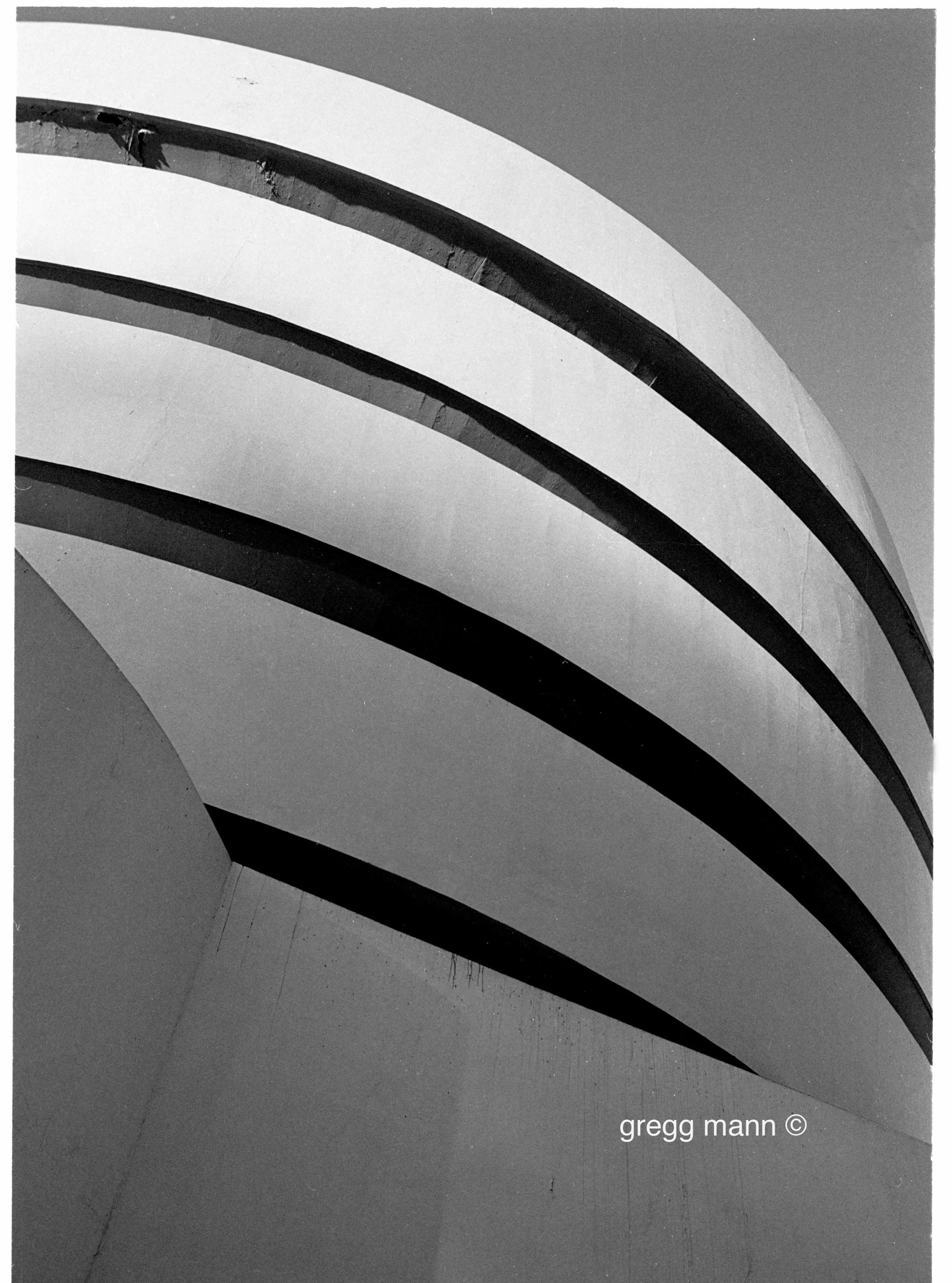 GUGGIENHIEM B-W credit..jpg