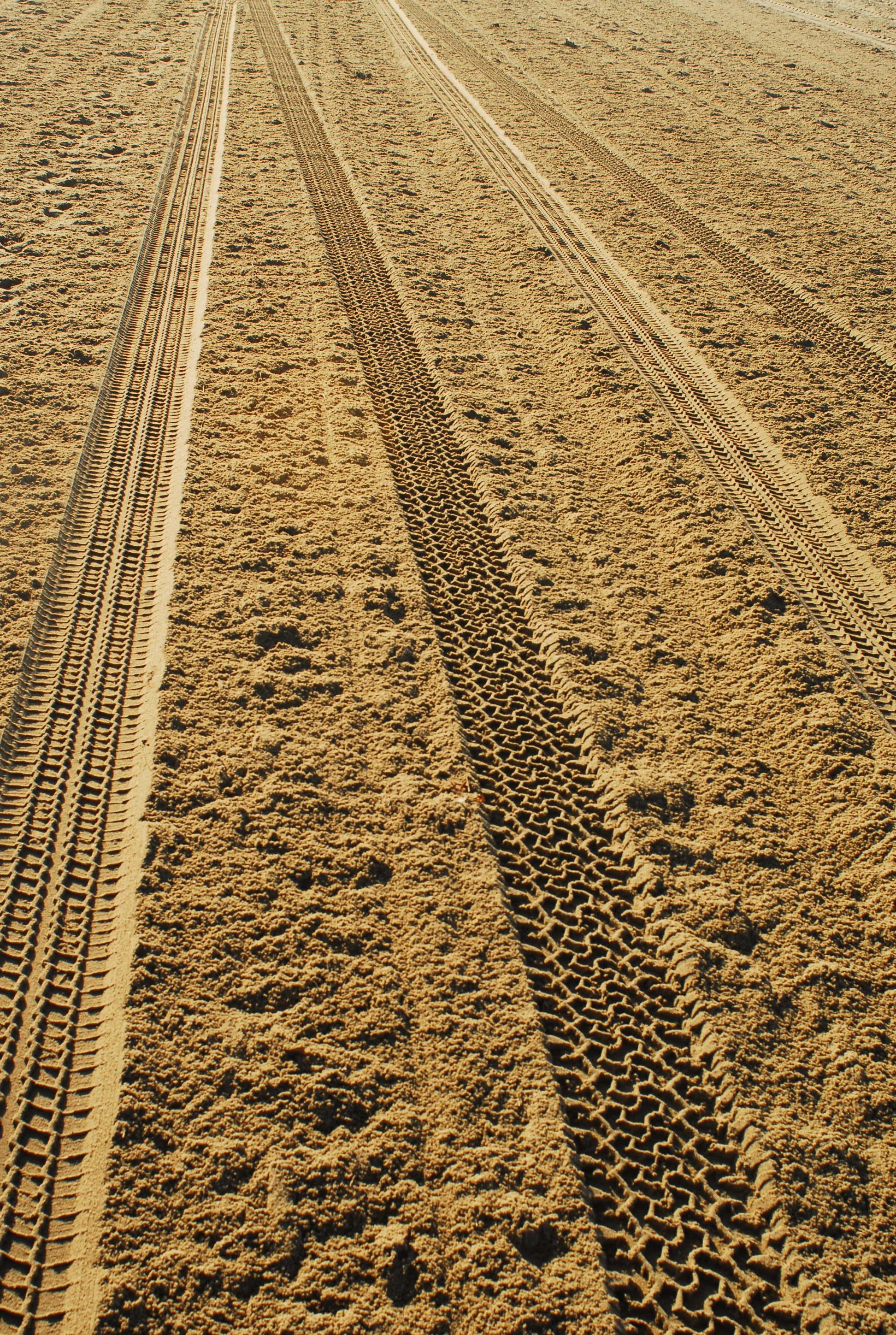 Sand Tracks 2.JPG