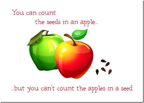 apple seeds.jpg