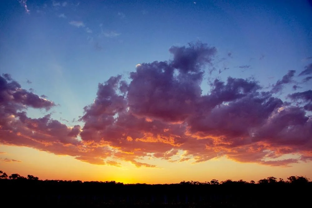 10 STEPS TO PLAN THE NEXT SEASON & BEYOND