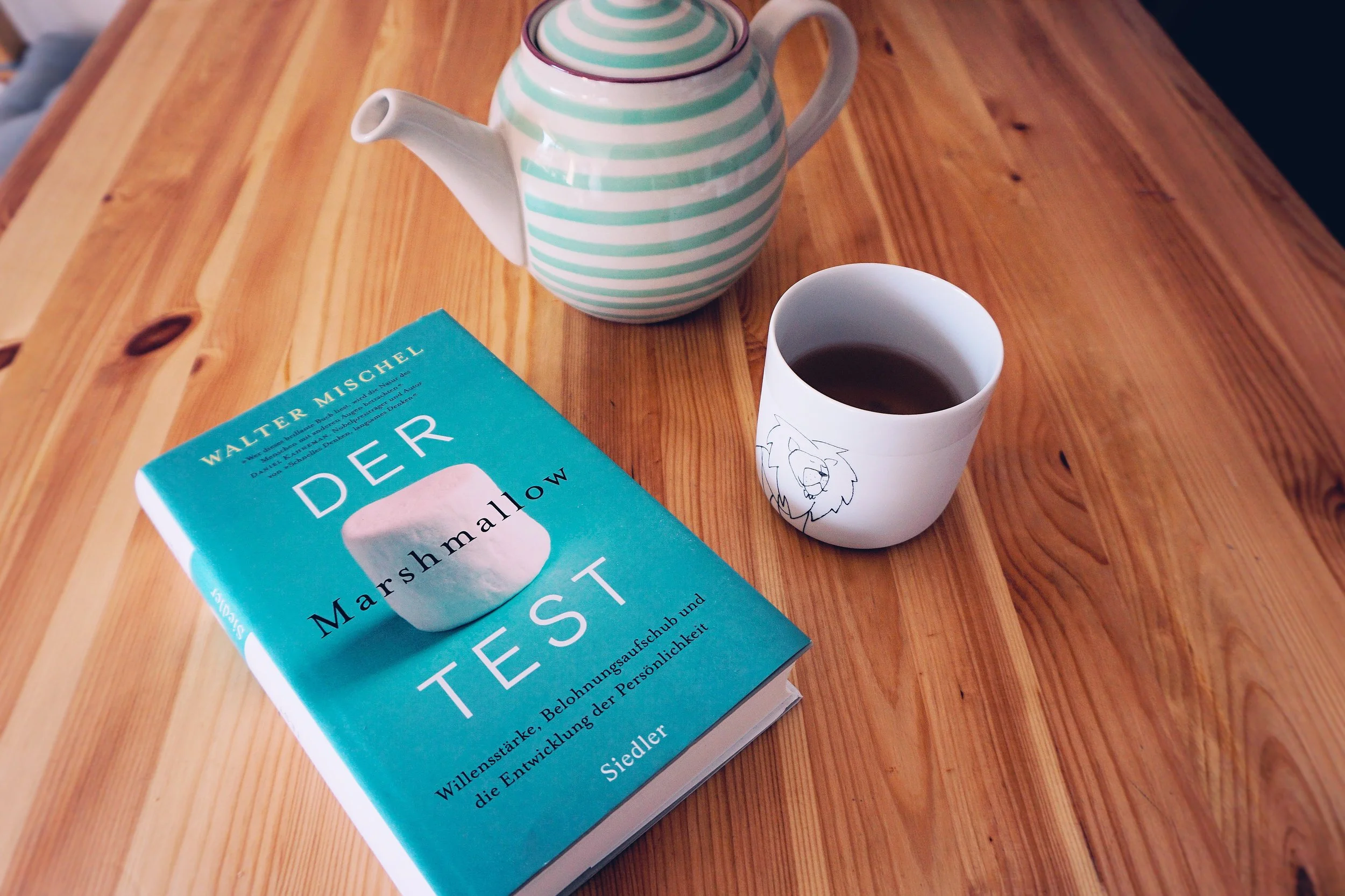 BOOK RECOMMENDATION: THE MARSHMALLOW TEST