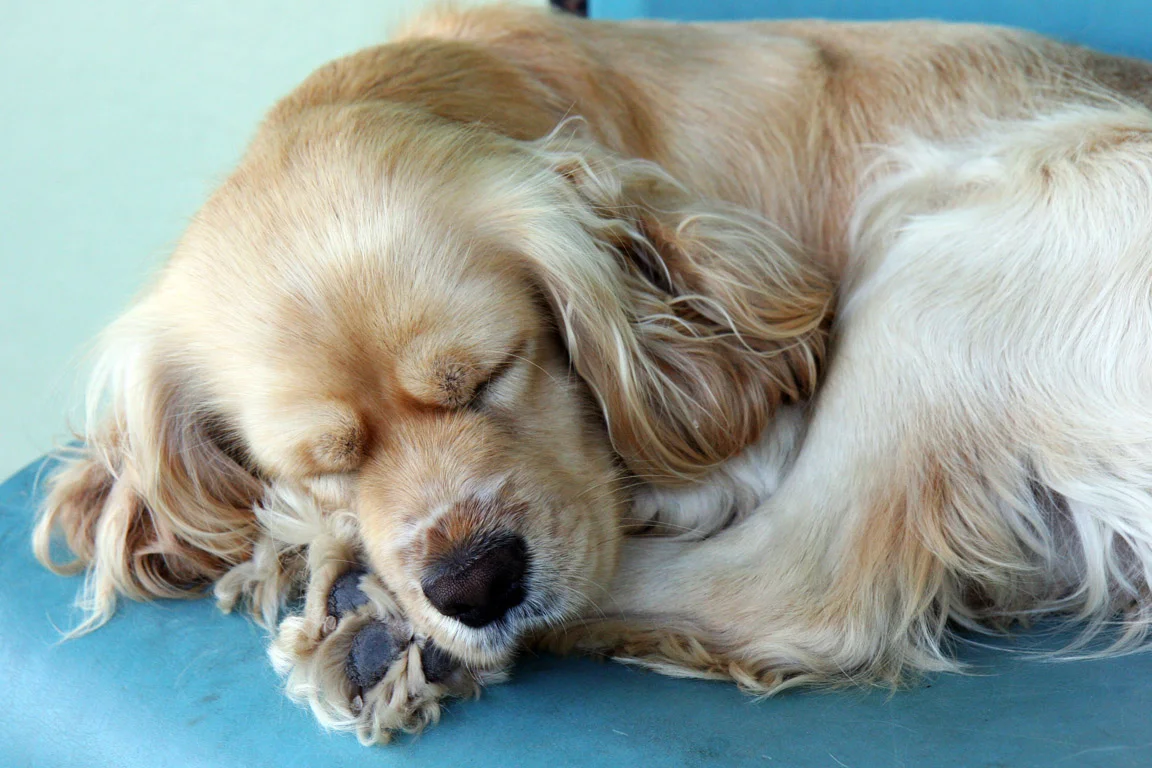 WHY WE SLEEP BADLY WHEN WE ARE NOT AT HOME