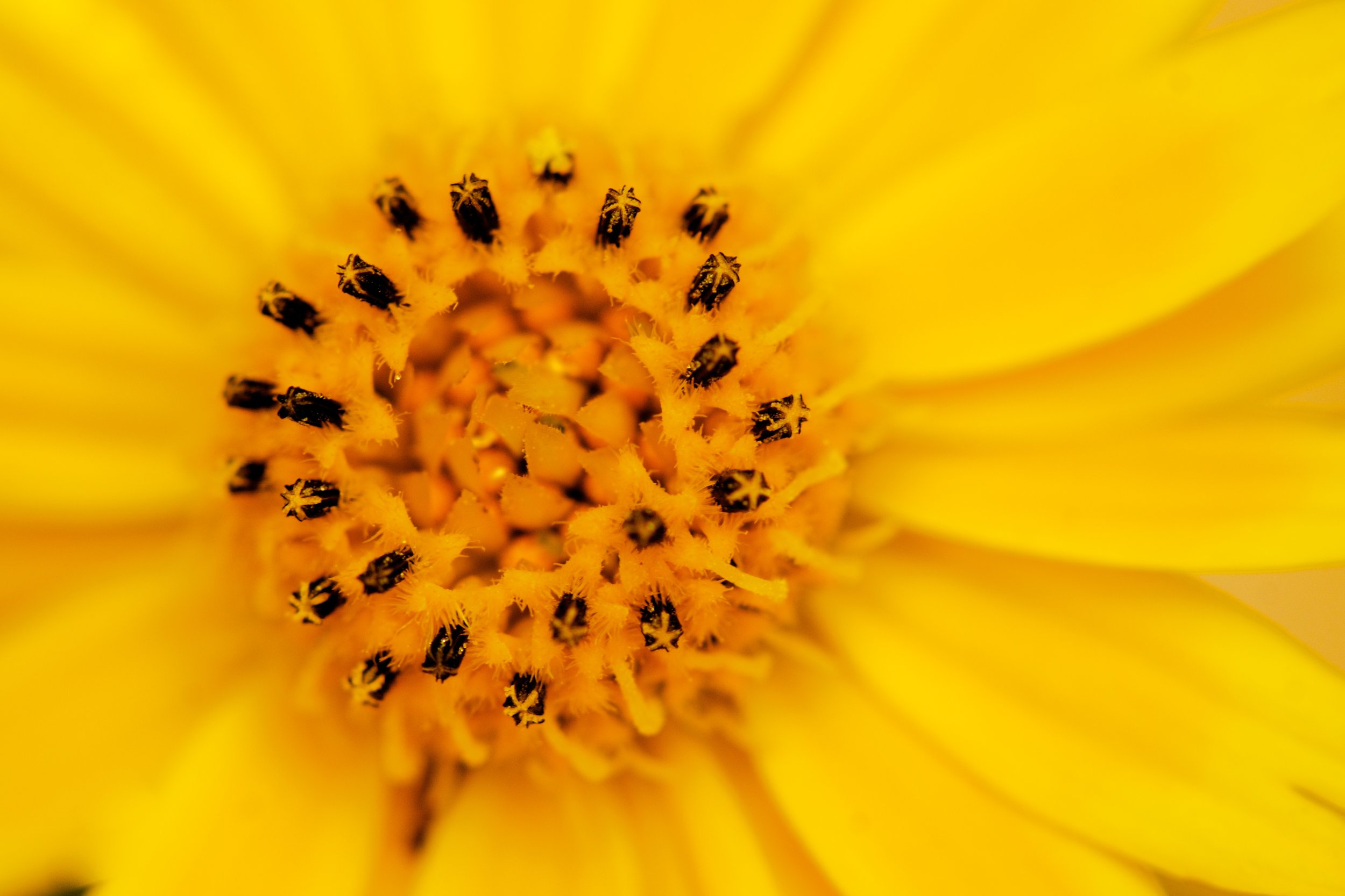 LOVE YOURSELF THE WAY YOU ARE