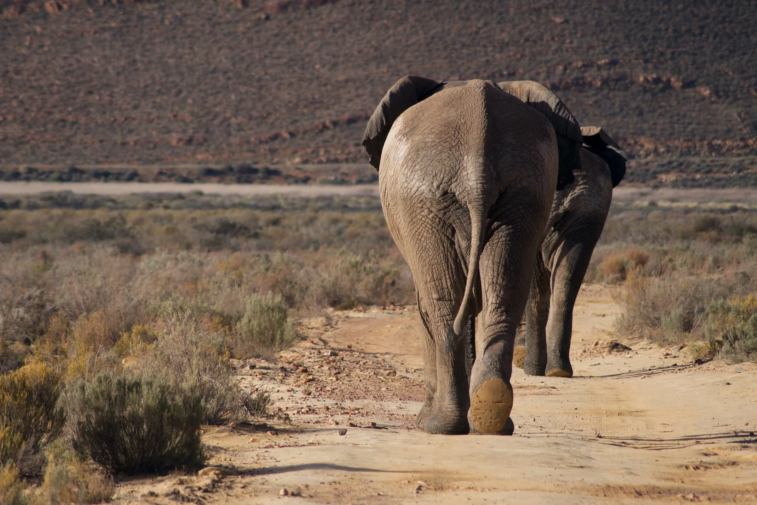 LEARNING FROM LAST YEAR'S RESOLUTIONS & GOALS