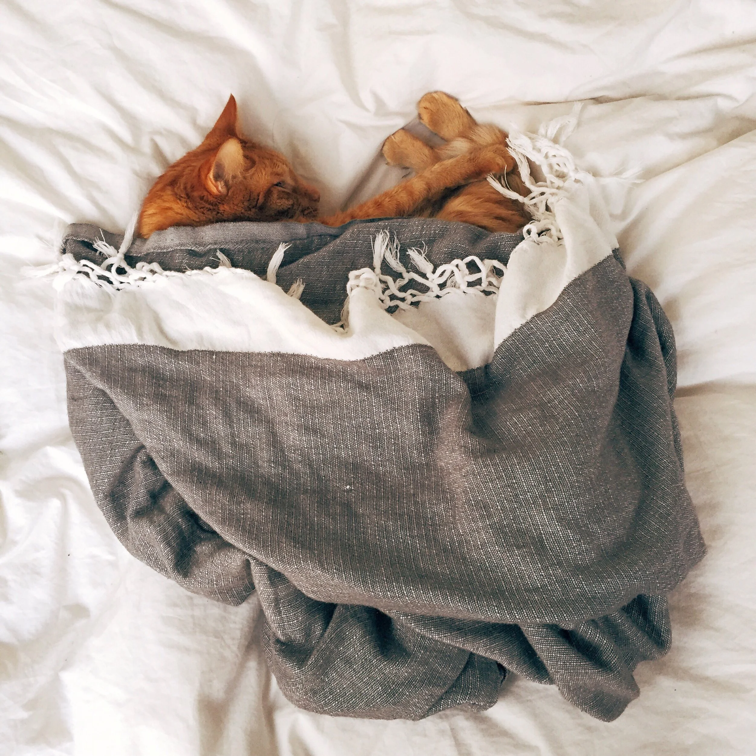 HOW TO IMPROVE YOUR SLEEP QUALITY