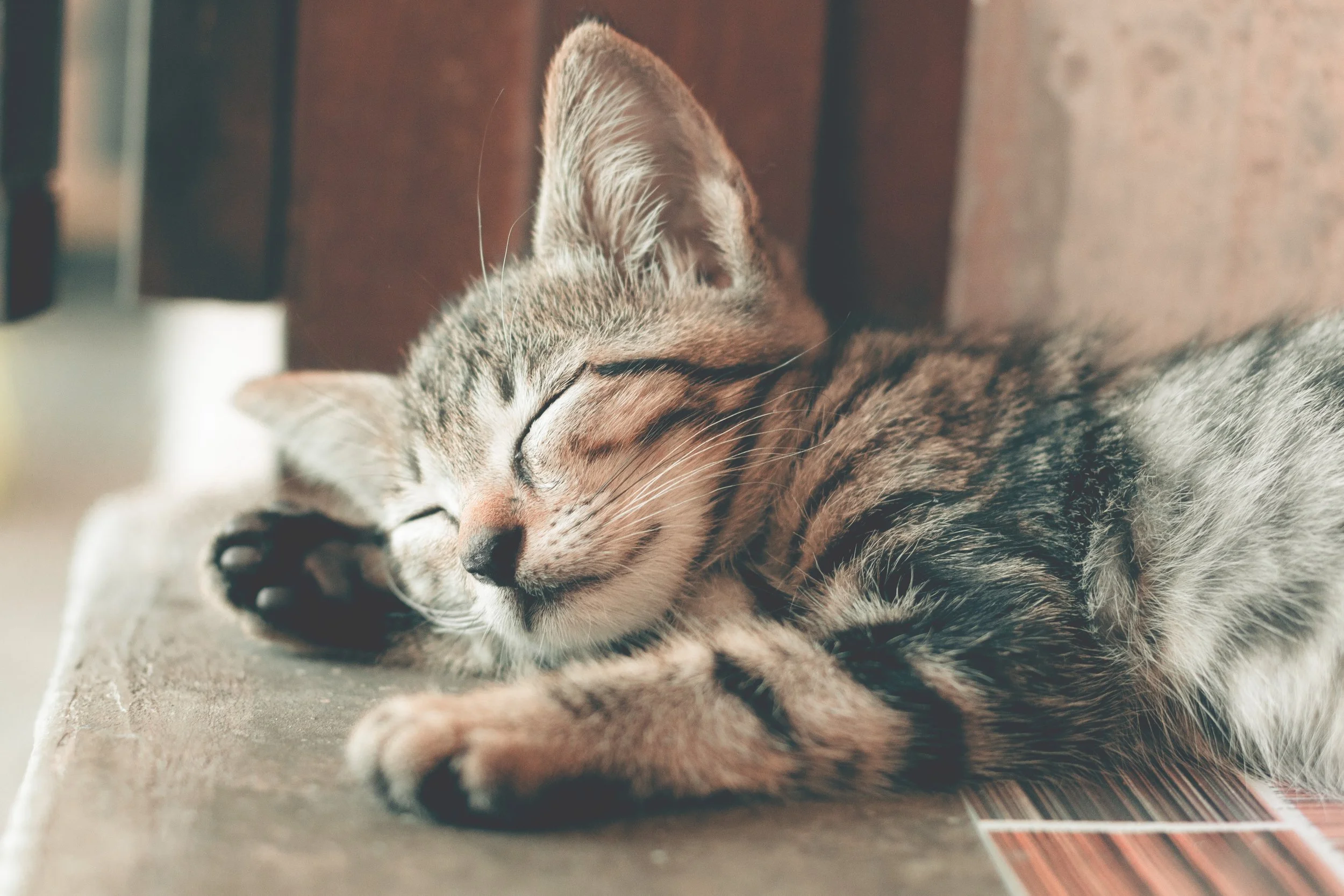 ARE YOU STILL SLEEPING OR WAIT...ASLEEP AGAIN?