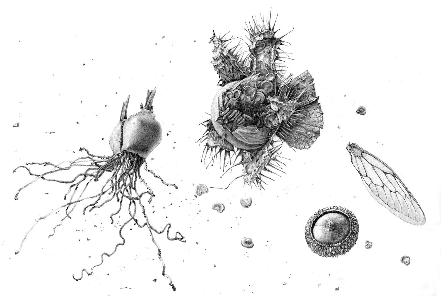 Evidence of Life on Earth