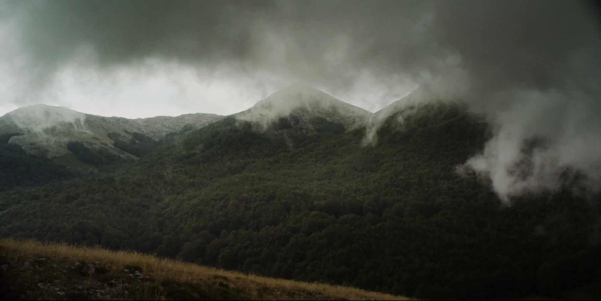 evlcsnap-2014-02-26-20h50m49s182.jpg